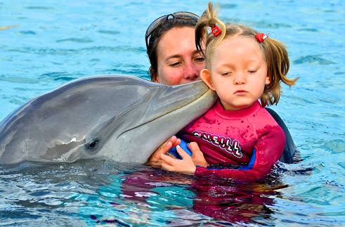 Delphintherapie in Antalya